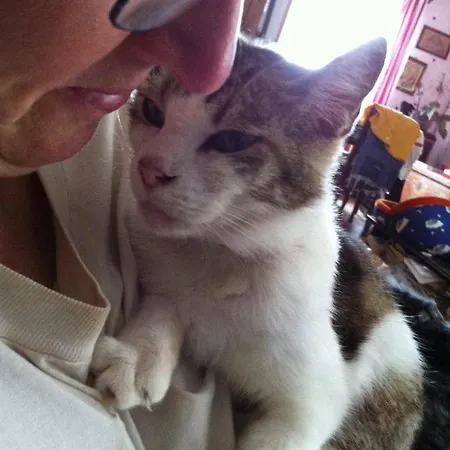 Frühstückspension D'hotes Et Chez Martine