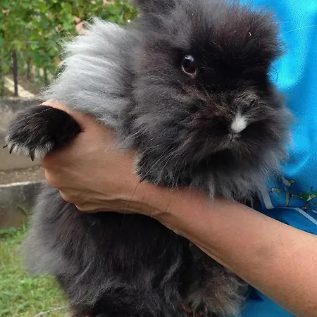 D'hotes Et Chez Martine *