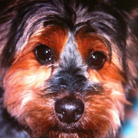 Frühstückspension D'hotes Et Chez Martine Barr