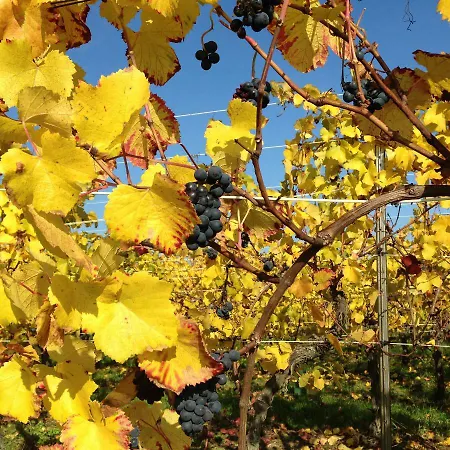 D'hotes Et Chez Martine * Barr